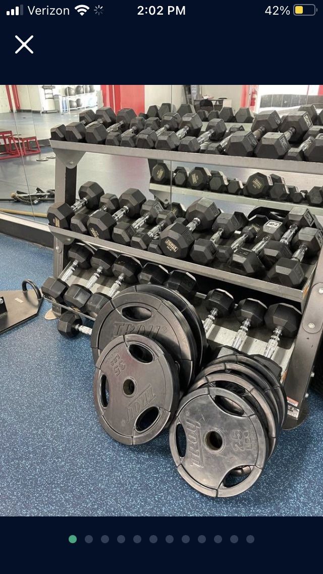 Weights, Dumbbells, Bumper Plates, Benches And Racks