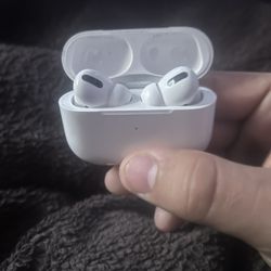 Head Phones ( AirPods)
