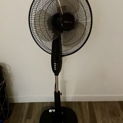 Fan