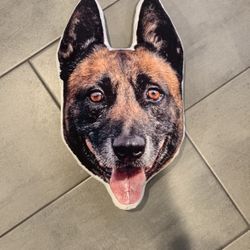 Malinois Pillow, 20” Long
