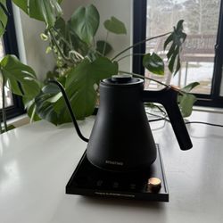 Gooseneck Electric Digital Water Kettle 