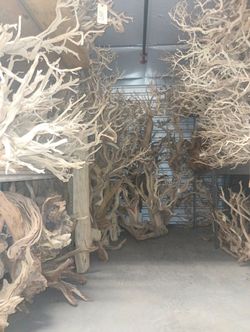 Home Decoration Real Natural  Driftwood 