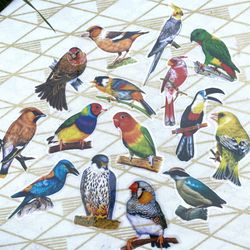 Unique Transparent Large Bird Stickers Variety LOT of 15 / Vibrant Colorful Hues