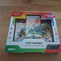 First Partner Illustration Box