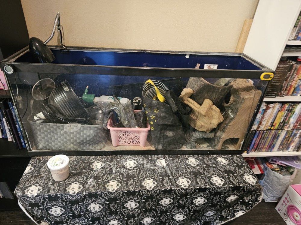 Bearded Dragon Home