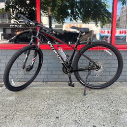 Specialized Rockhopper MINT 29er