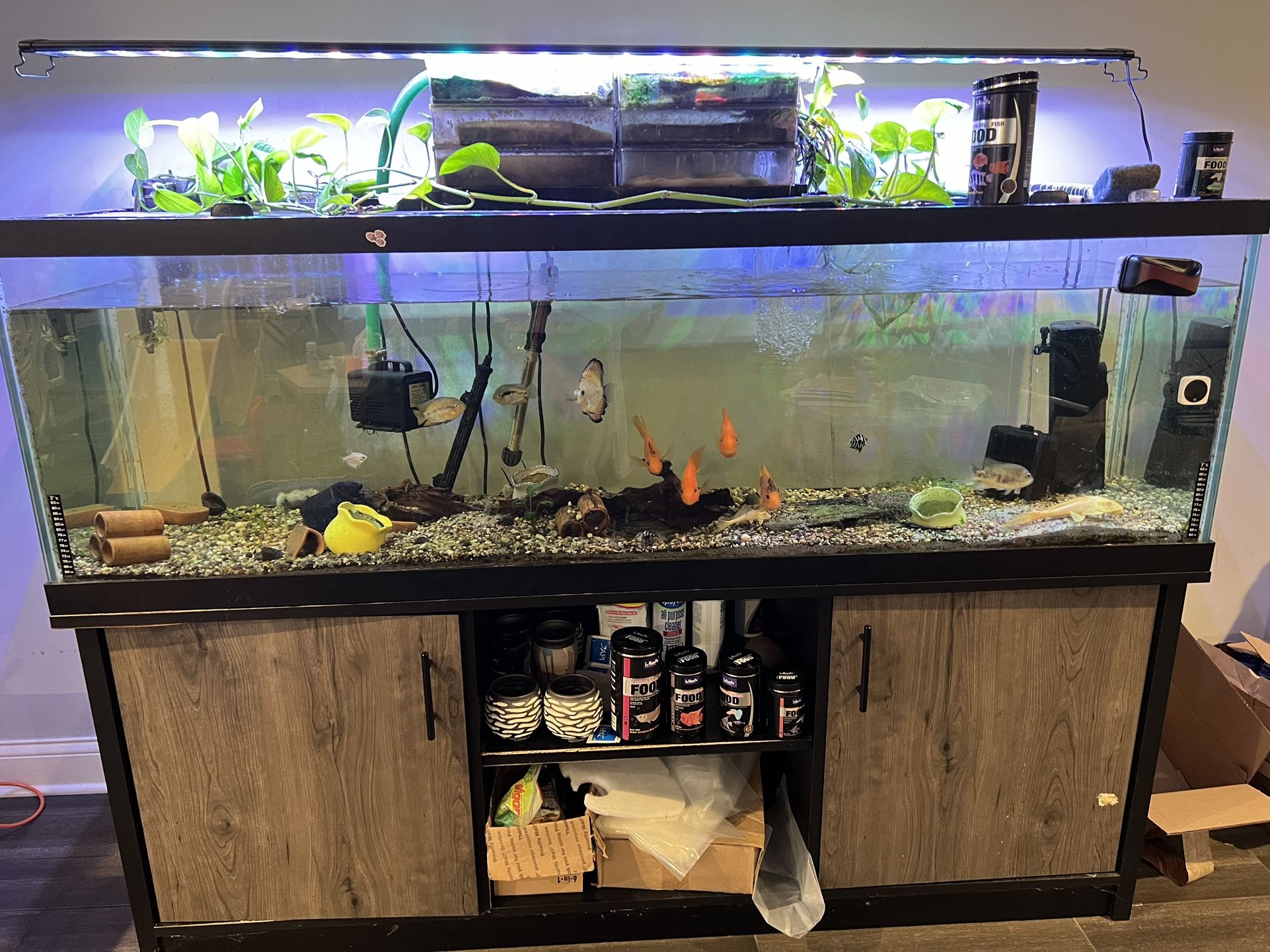 Top Fin Aquarium & Stand Ensemble 125 Gallon( please read description