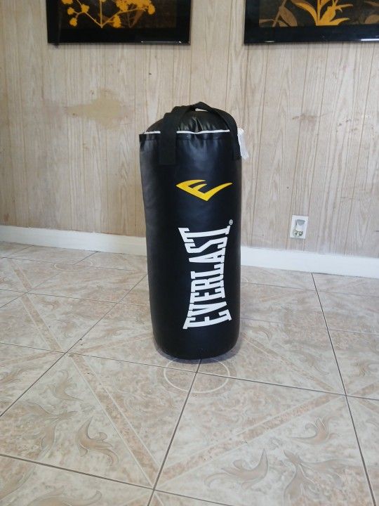 Everlast Punching Bag 