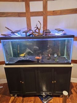 75 Gallon Aquarium