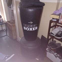 Century Speed Boxer Punching Bag Just Fill Water 