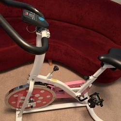 Sunny Fitness Indoor Exercise Bike - Pink