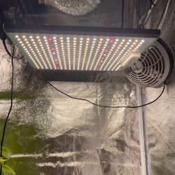 Grow Light (indoor)