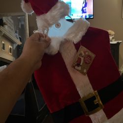 Santa Pet Costume 