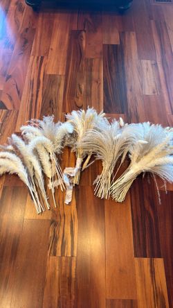 Dried grasses