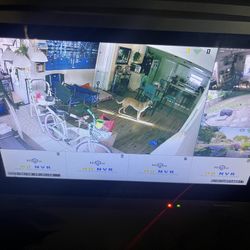 Indoor And Outdoor Surveillance Camaras