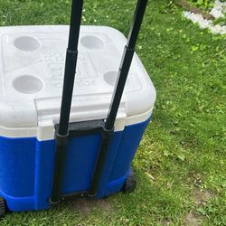 Cooler