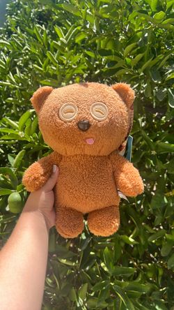 Teddy Bear
