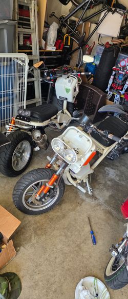 2021 Diaxa Icebear Maddog 150cc