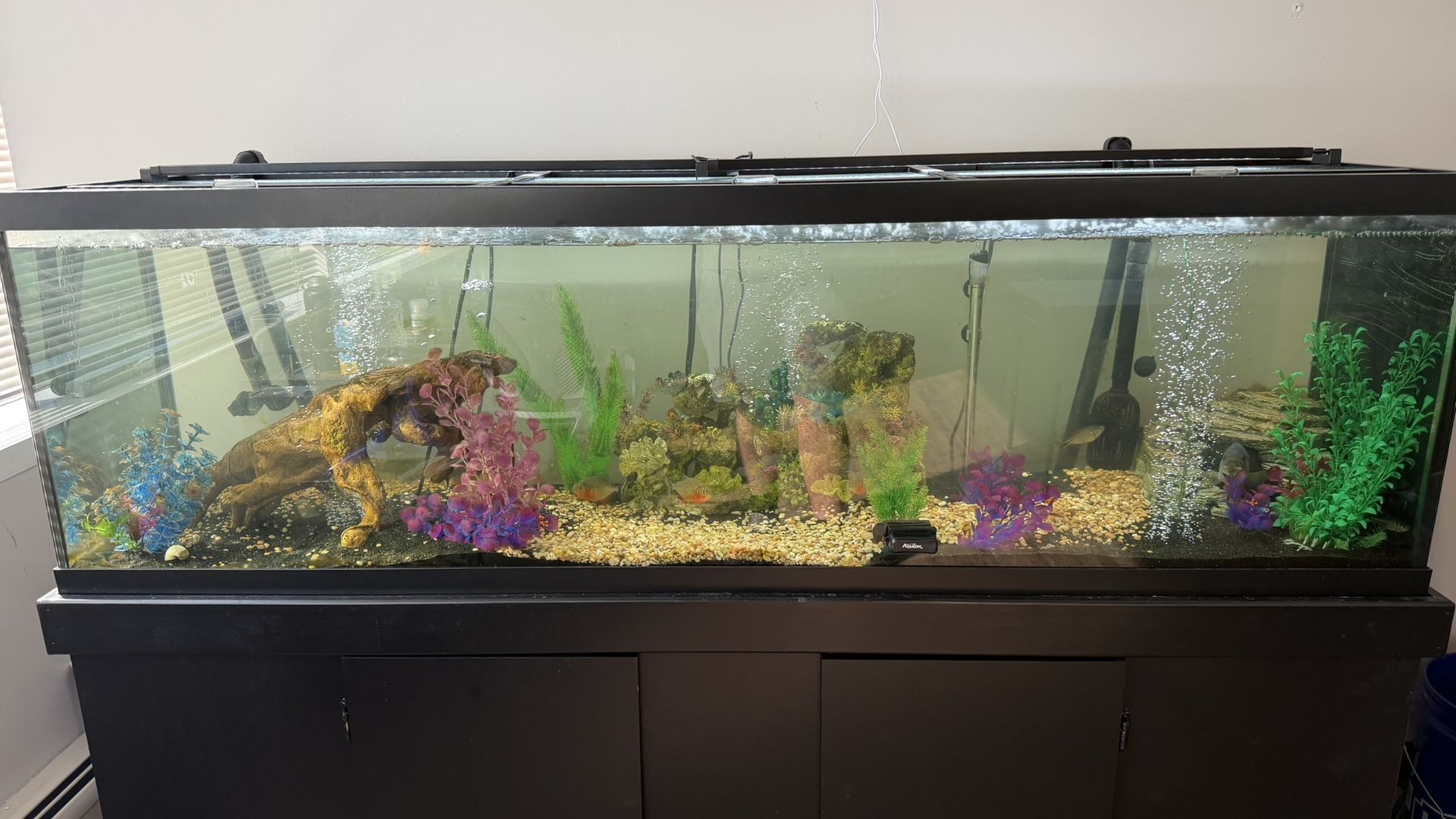 125 Gallon Tank With Stand And Filter