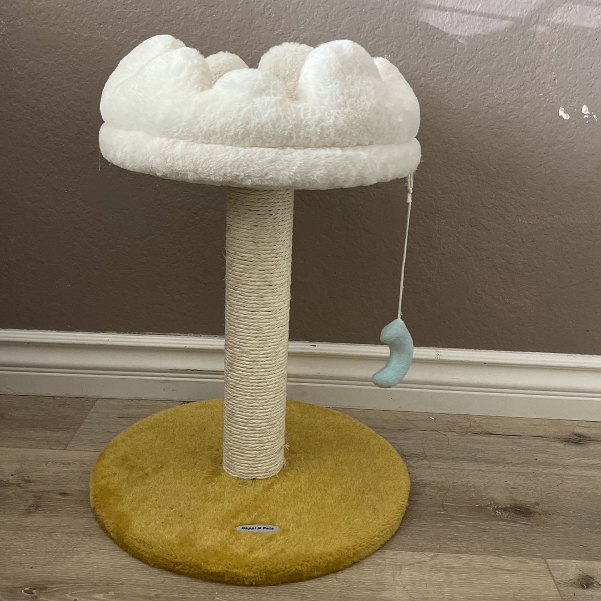 Small cat bed