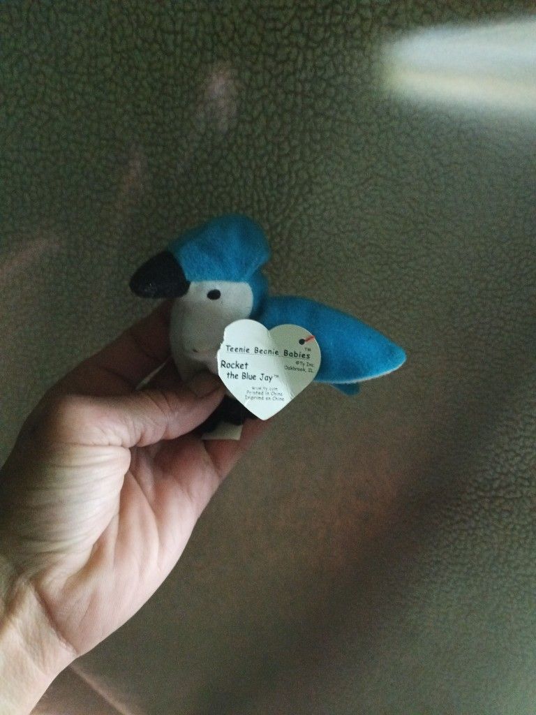 Rocket The Blue Jay Teanie Beanie Babie Collectable