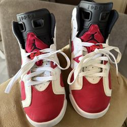 Jordan 6s