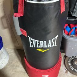 Ever Last Punching Bag