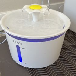 Pet Water Filter/water Bowl