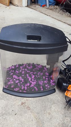 One gallon fish tank