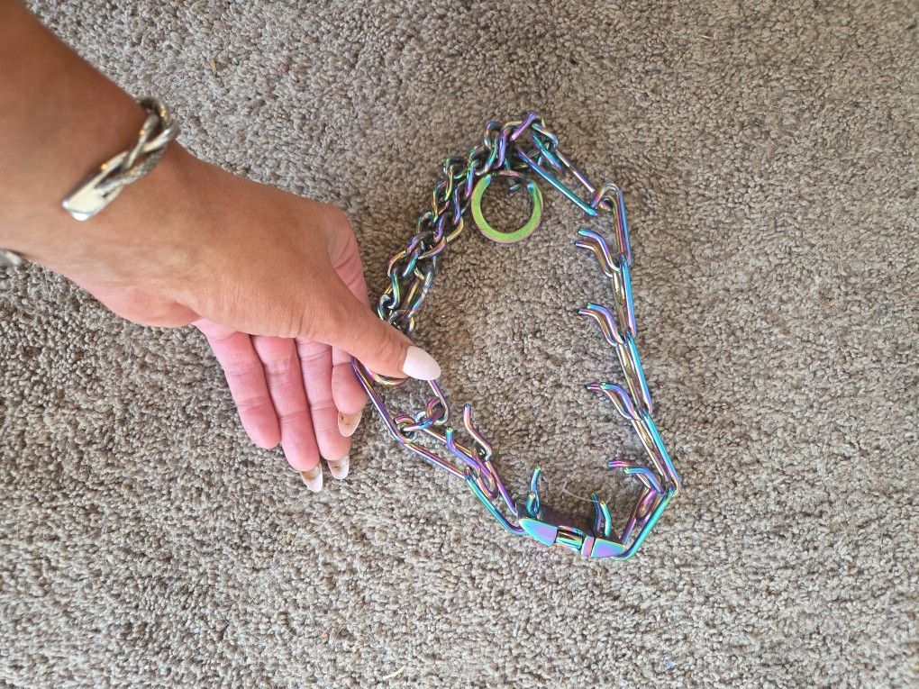 Free Training Collar