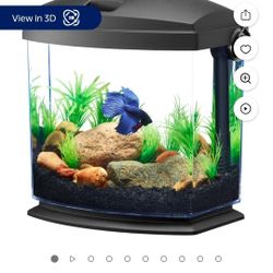 Fish Tank Small 