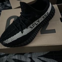 Yeezy 350