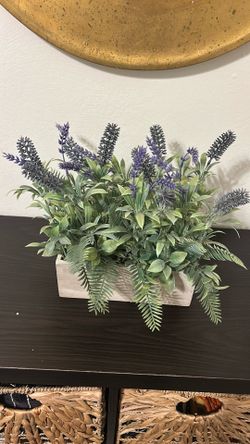 Big plant