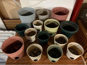 Assorted Plant Pots