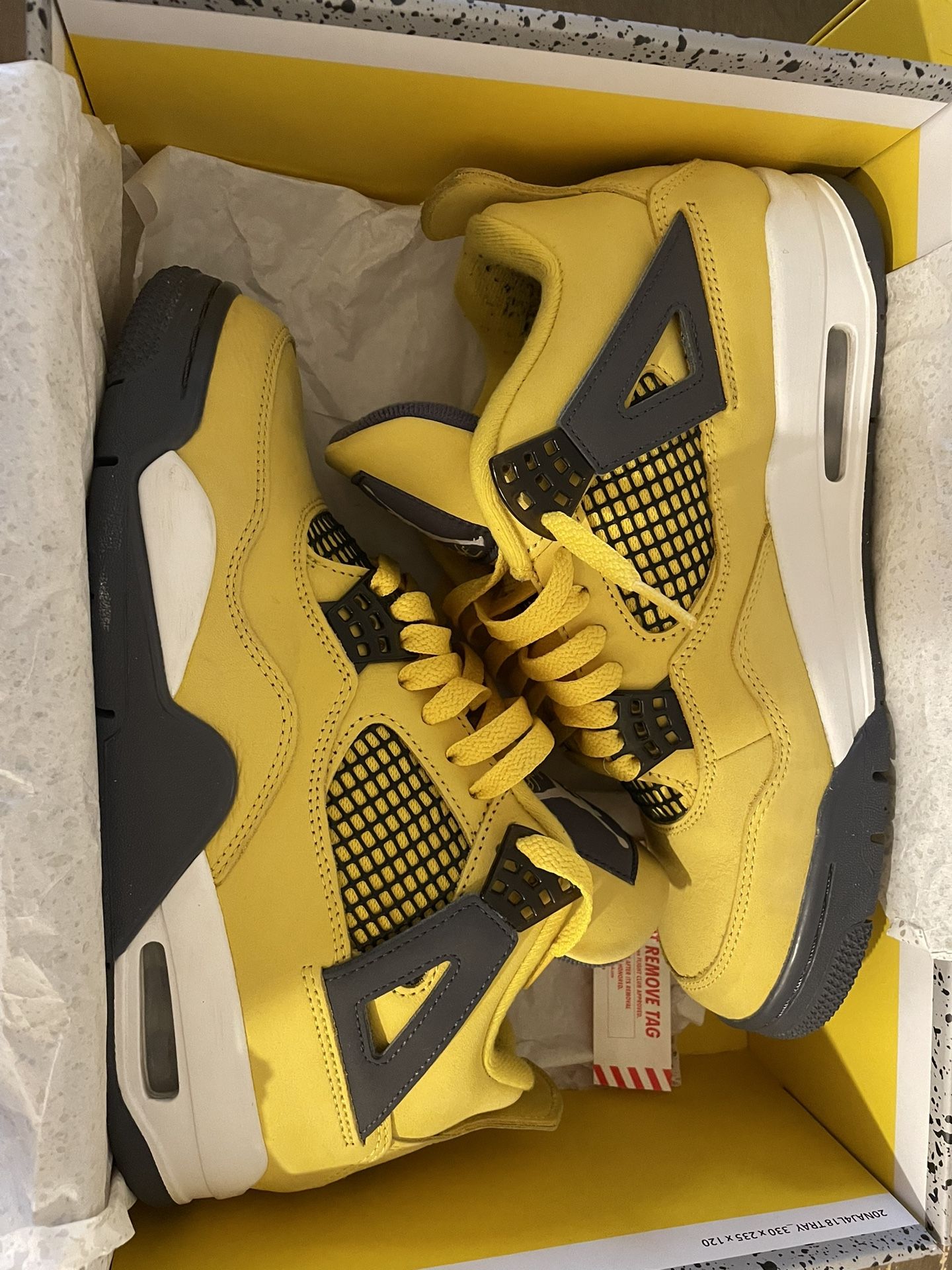 Air Jordan 4s Lighting