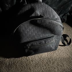 Dior backpack 