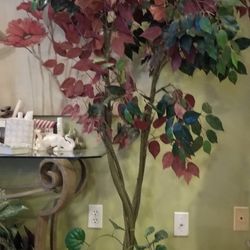 Beautiful Ficus Trees Look's Real 