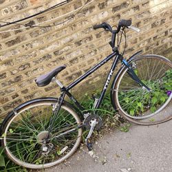 Trek Mountain Bike 