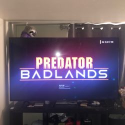 Hisense Flat Screen Tv 58”