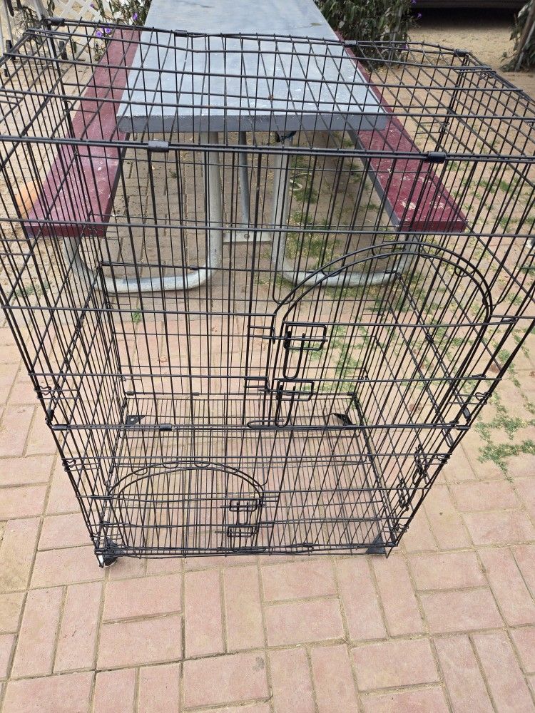 Bird Cage 
