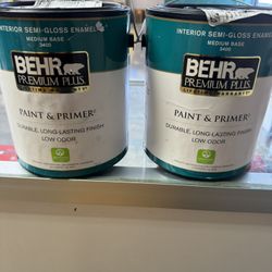Paint & Primer ✅