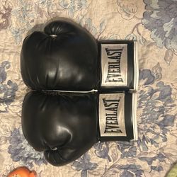 Everlast Boxing Gloves