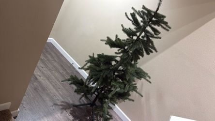 Christmas Tree 50$ Good Deal