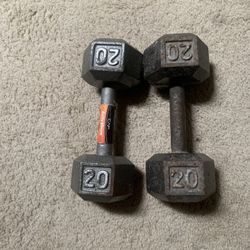 Pair Of Dumbells (40 Lbs)