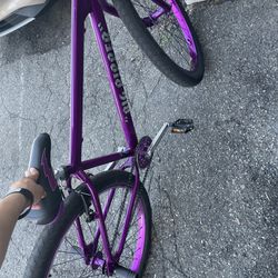SE Big Ripper Bike Purple 