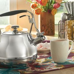 TERERA ACERO INOXIDABLE PRINCESS HOUSE