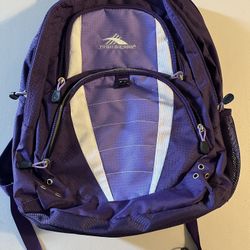 High Sierra Suspension Strap System Laptop Backpack $35