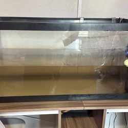 40 Gallon Aquarium With Accessories 