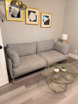Gray modern Sofa Couch
