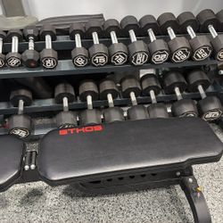 Full Dumbbell Weight Set + Rack + Adjustable Bench. 
